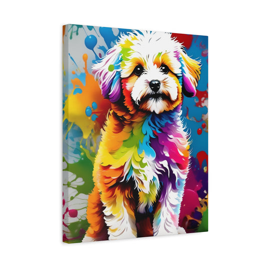 Canvas Maltipoo